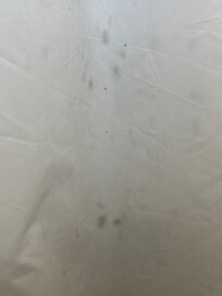 Shower curtain