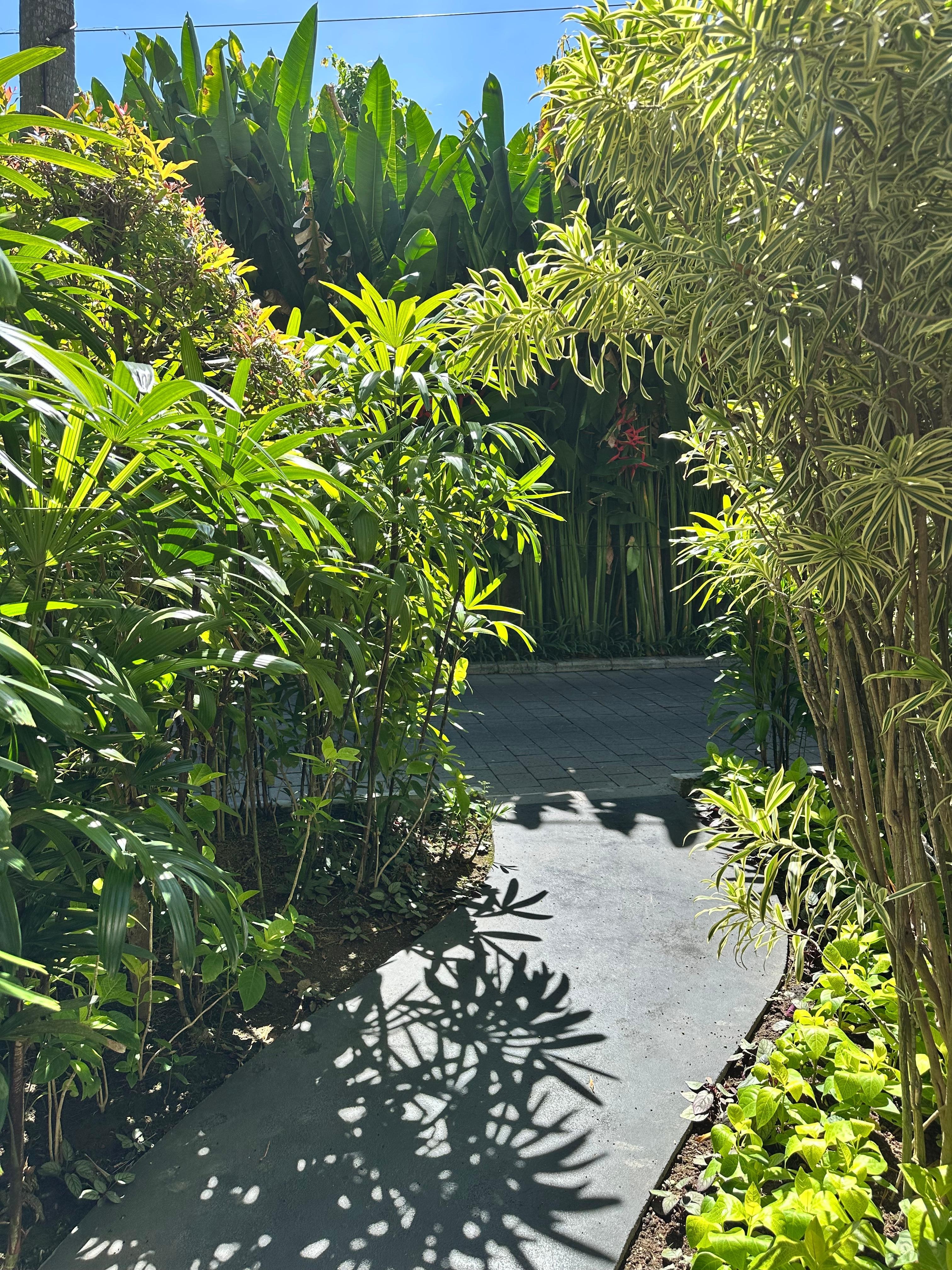 Lovely surroundings 💖