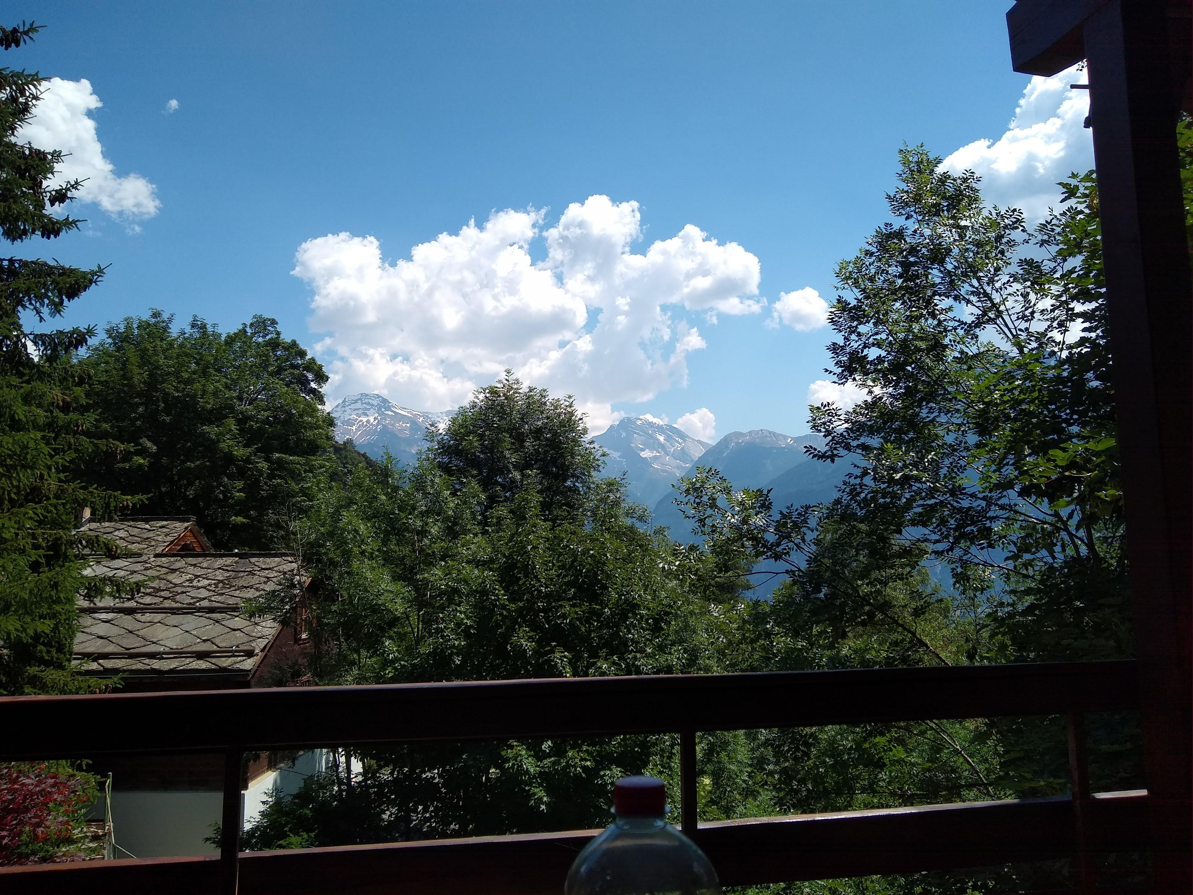 uitzicht vanop terras gelijkvloers