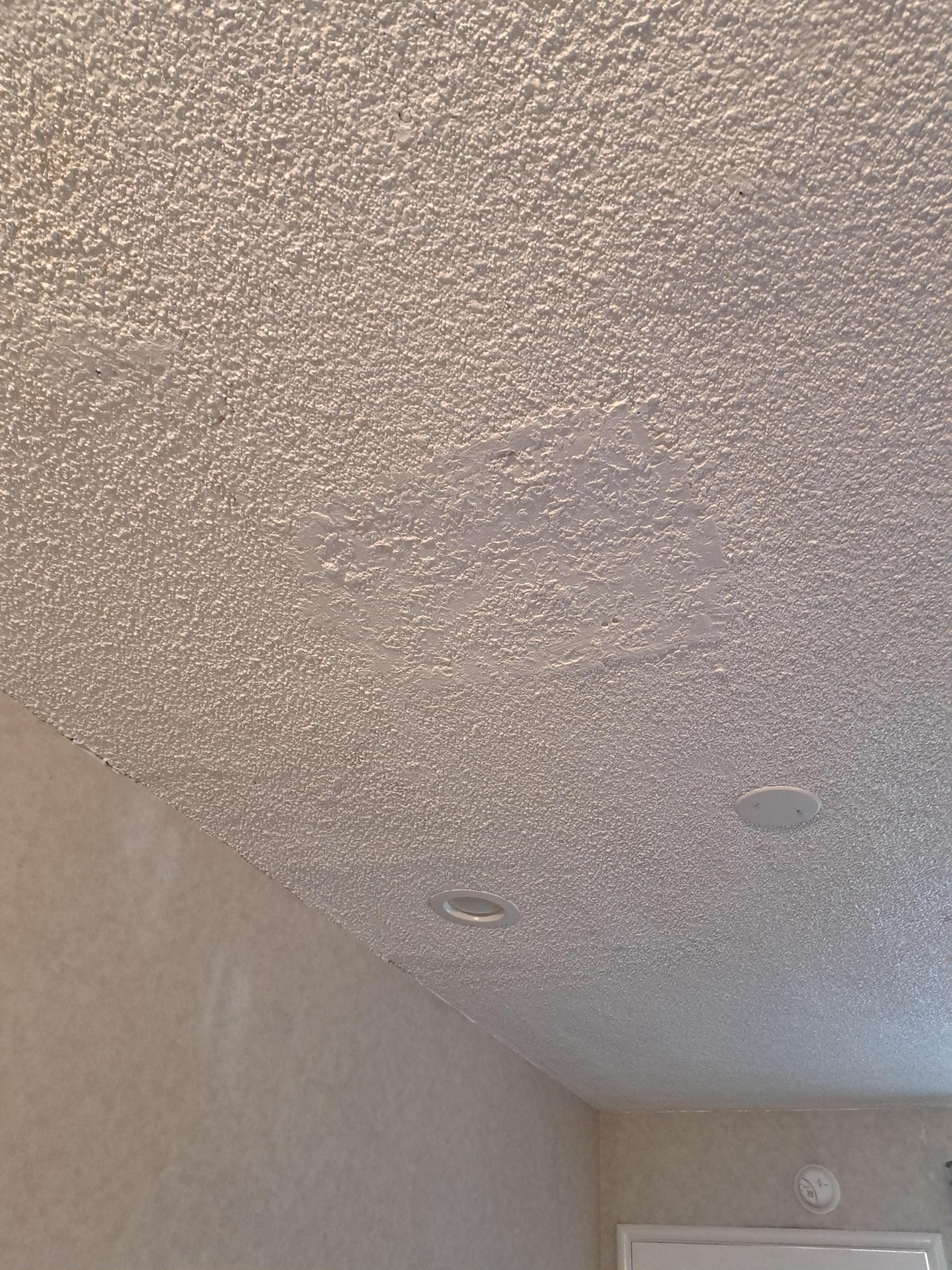 Ceiling repair
