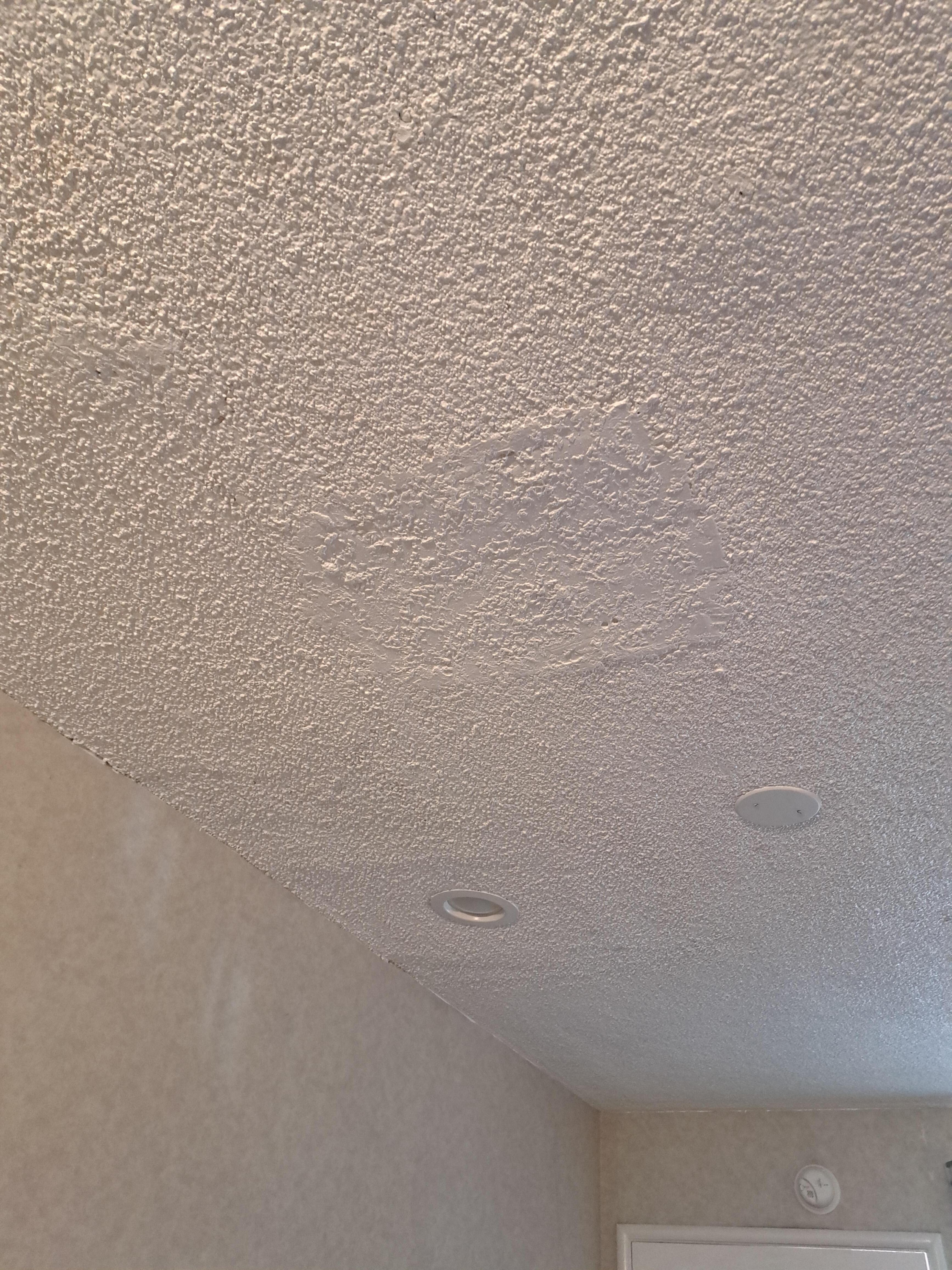 Ceiling repair