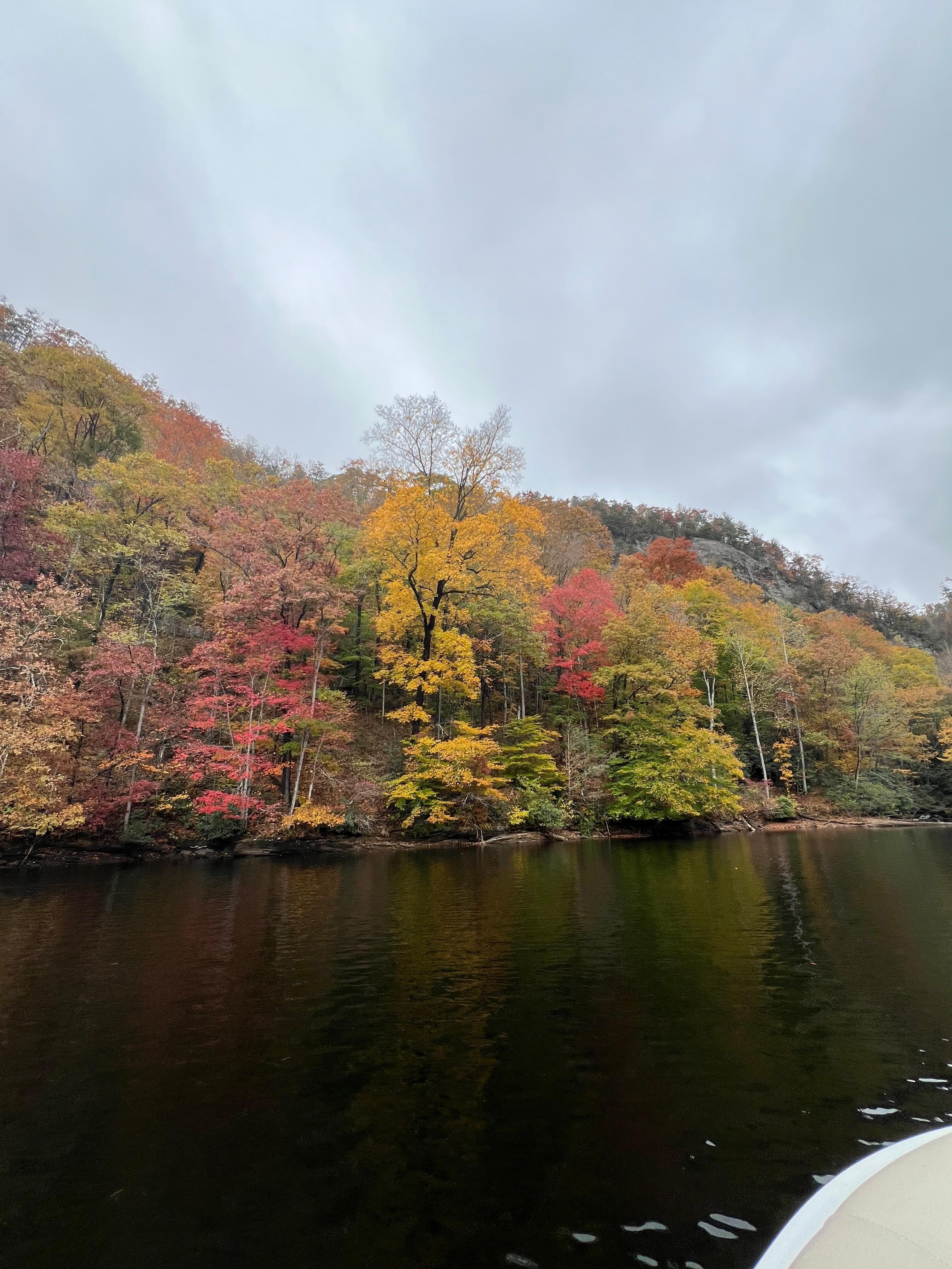 The pontoon boat ride on the lake was a magical experience