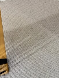 Stains on carpet. Much worse than pictured