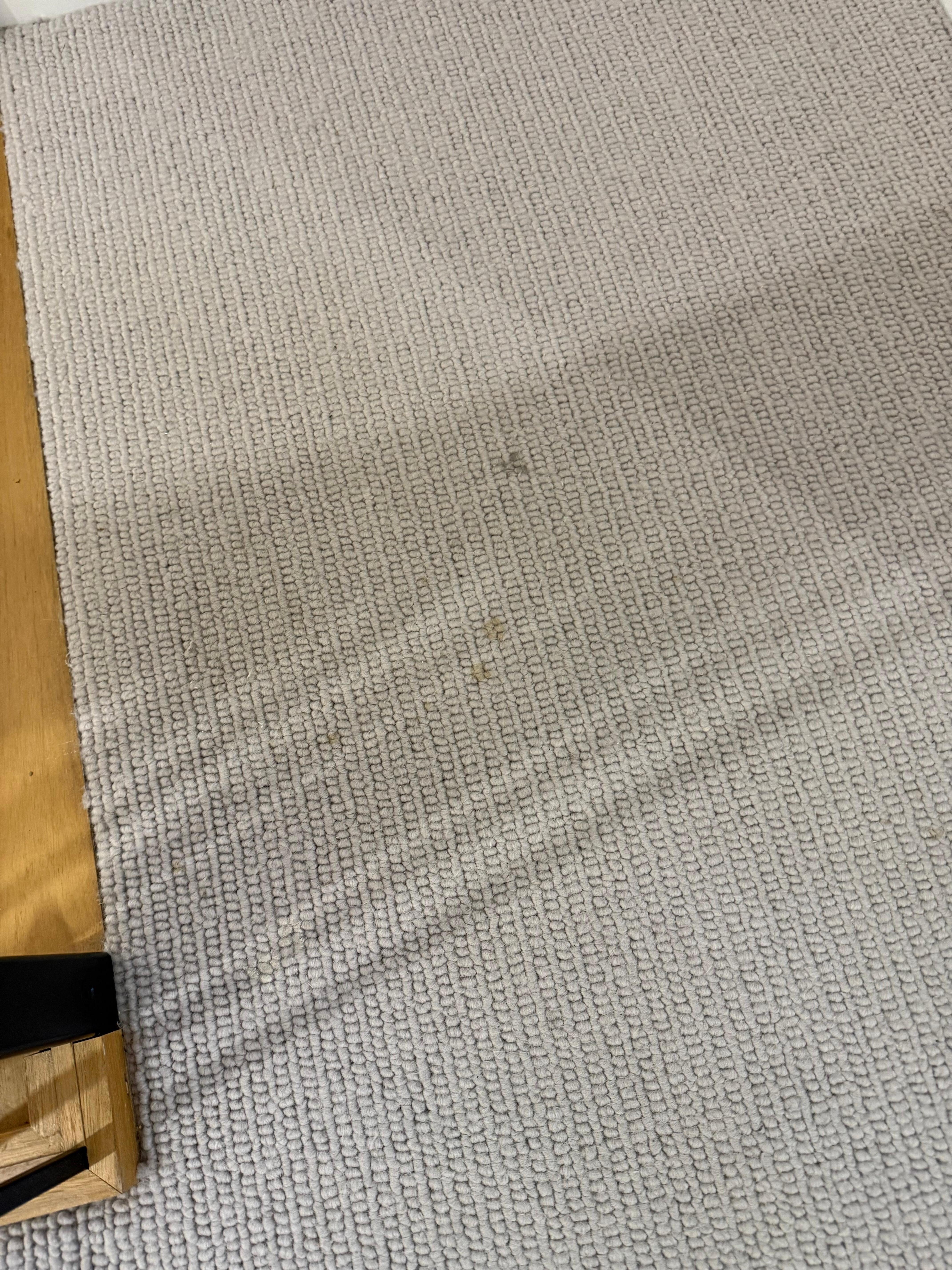 Stains on carpet. Much worse than pictured
