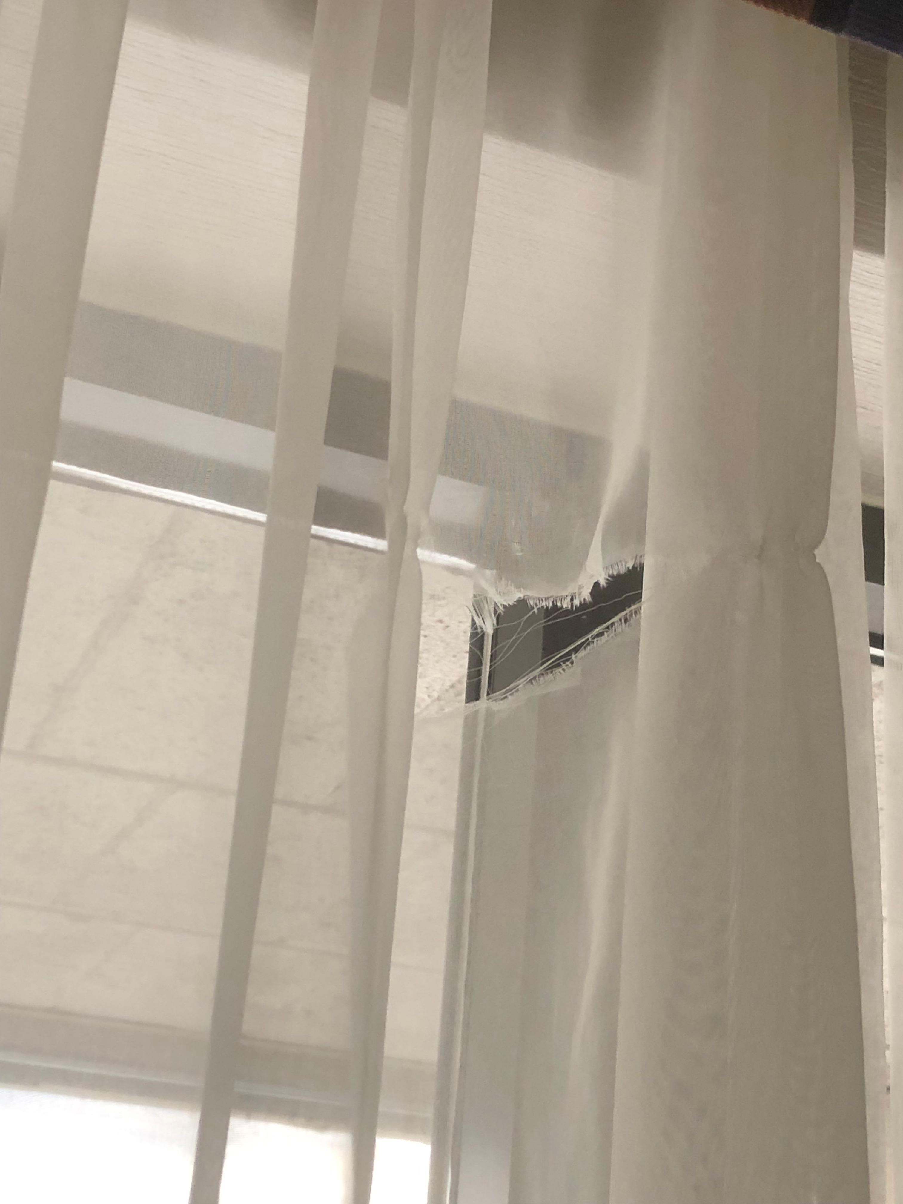 Torn window treatments 