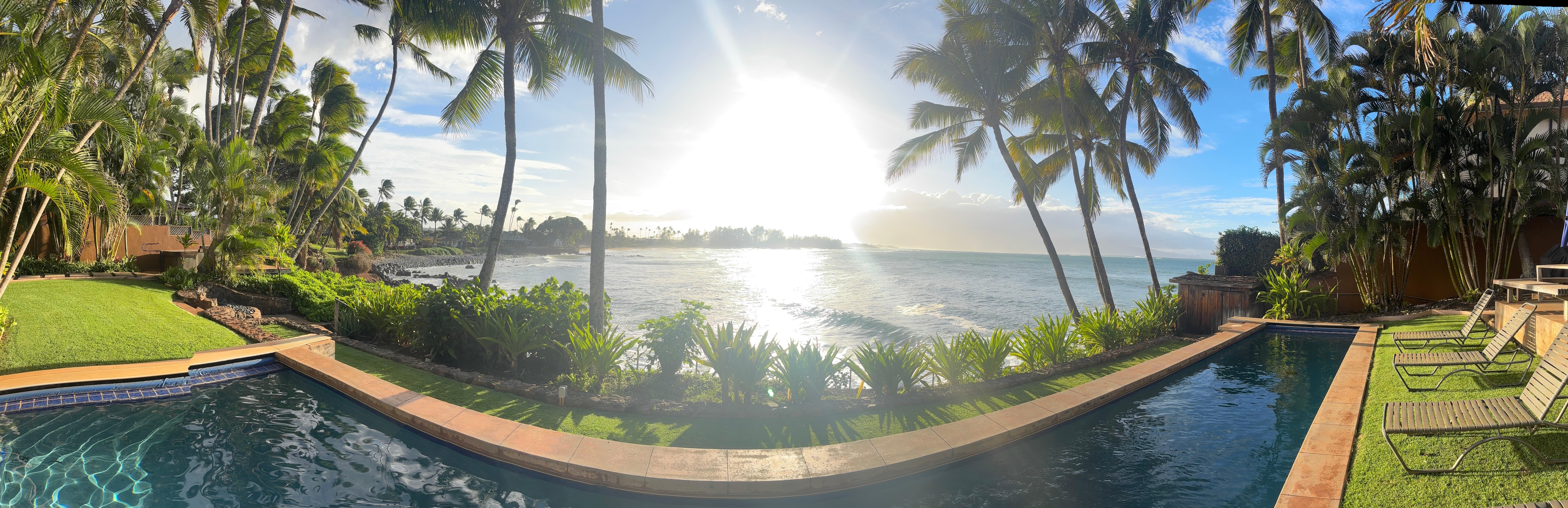 panoramic of the back yard 