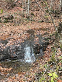 Waterfall on the property