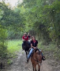 Horse riding near property