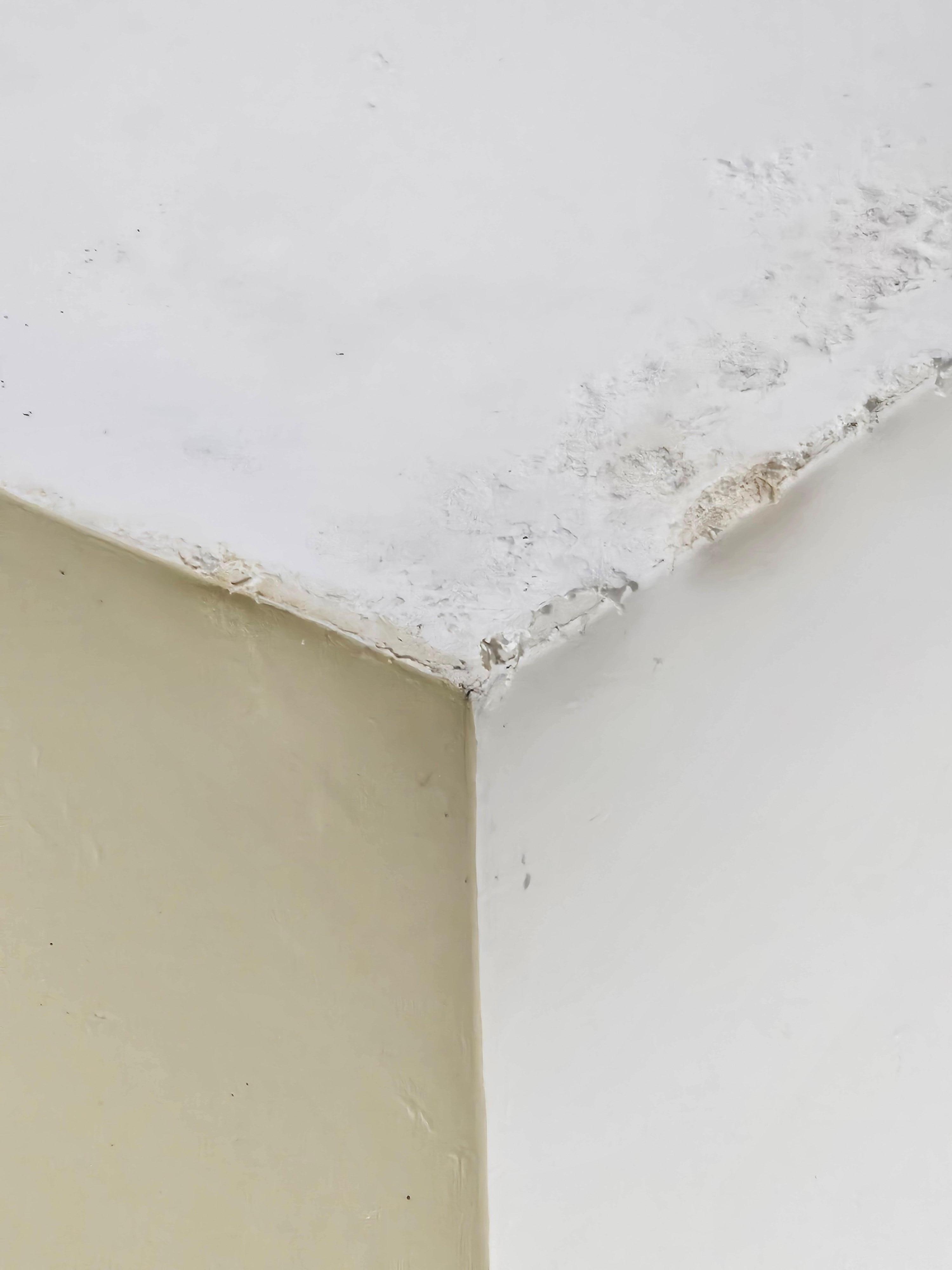 Water and mold damage 