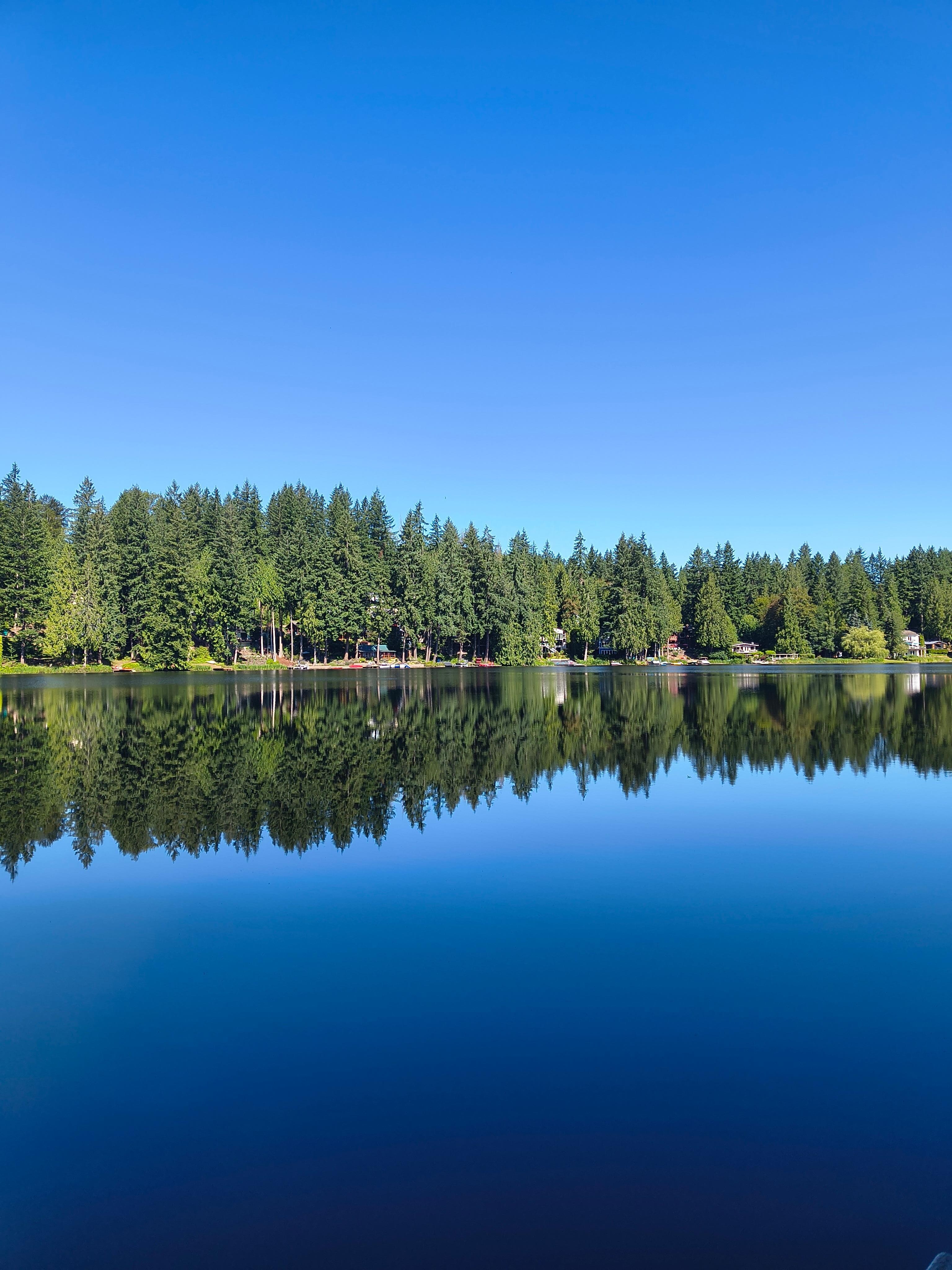 Lake view
