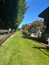 Sunny garden