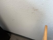 Blood stains on wall