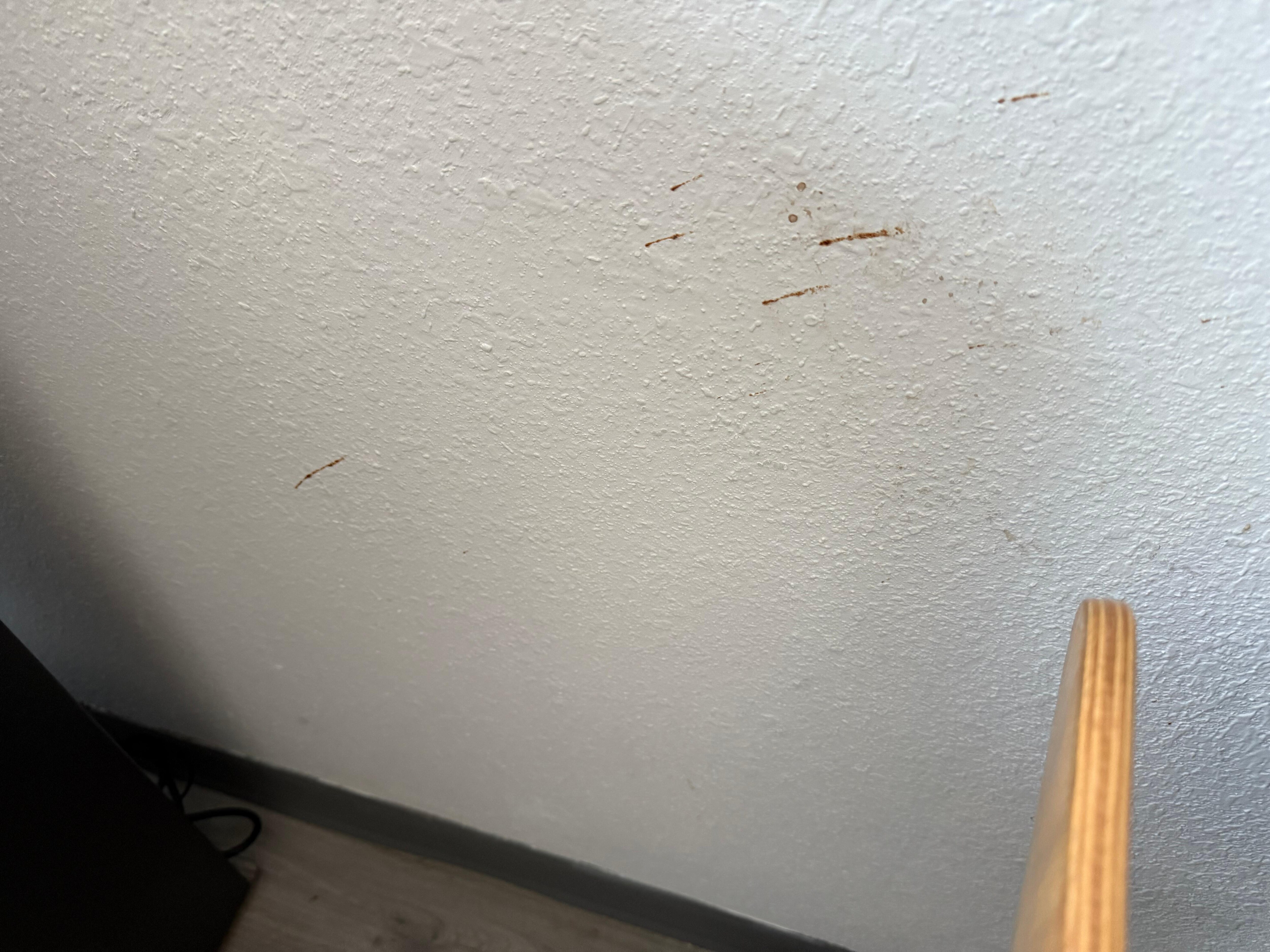 Blood stains on wall