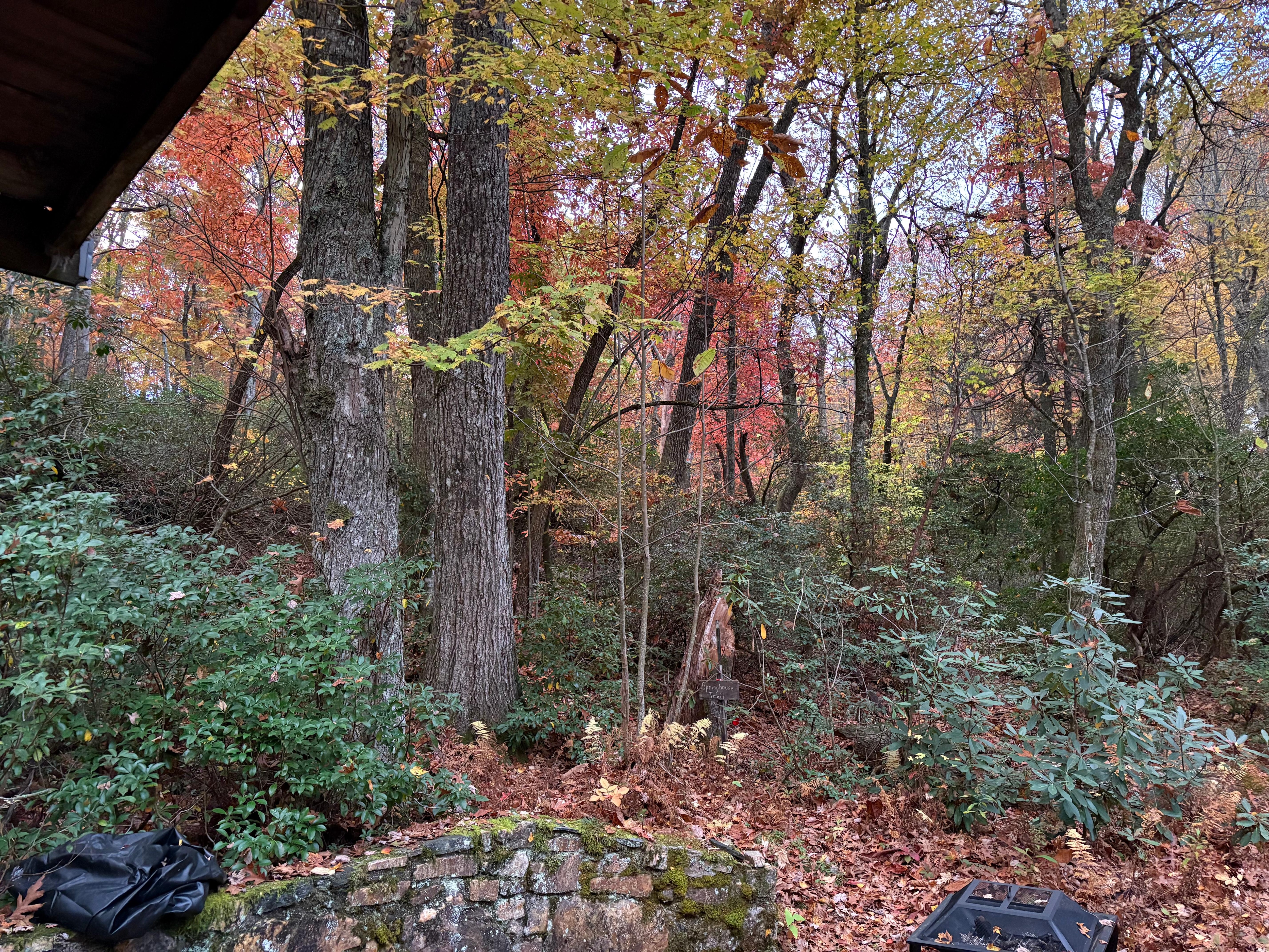 View sitting on back patio