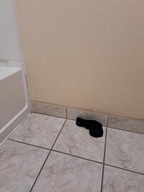 Black sock that did not belong to either of us. It was hidden behind the bathroom door.