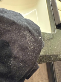 Shirt after being on the floor. I’m sure they cleaned the room in February.