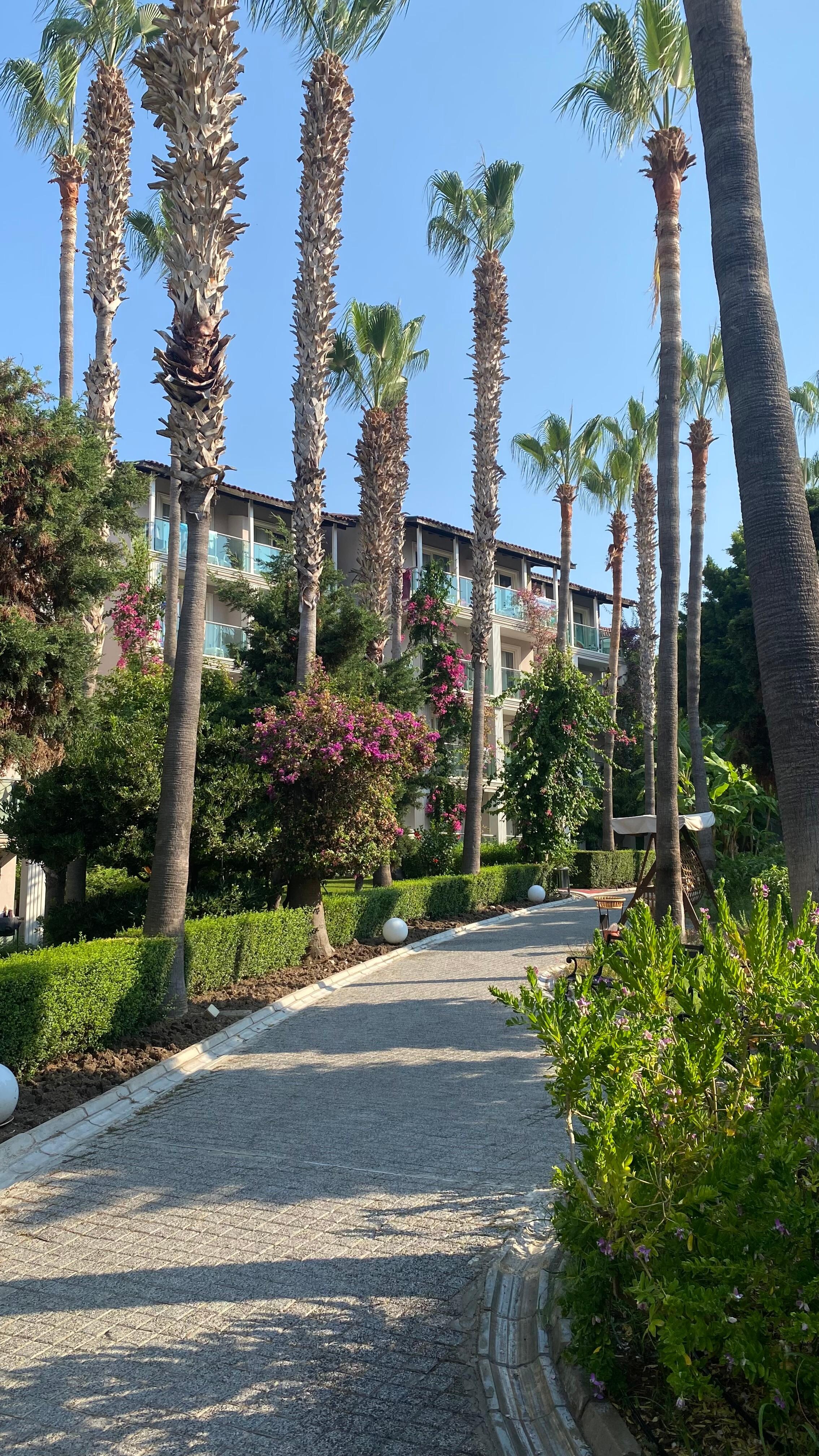 Jardins. 
