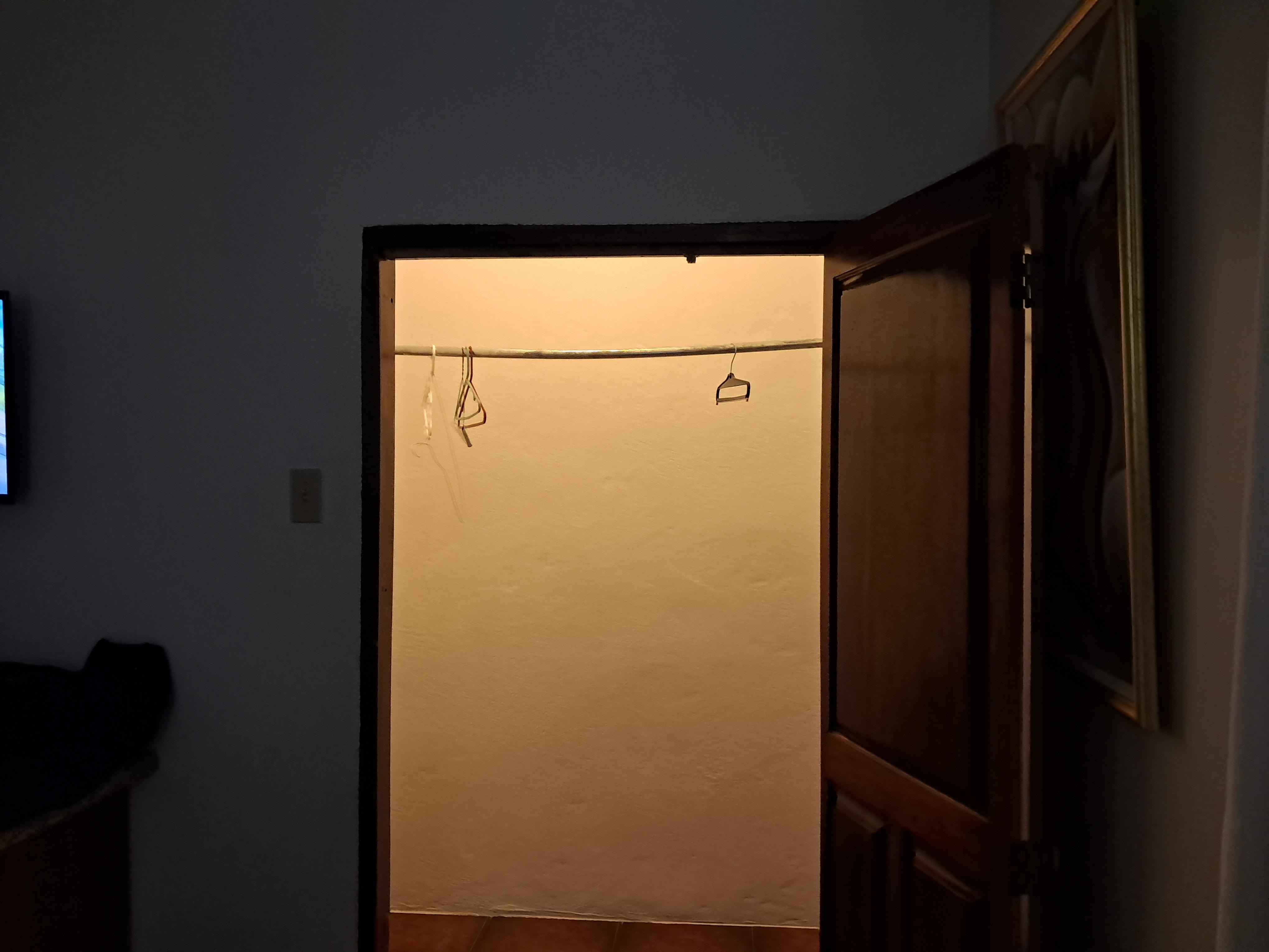 Large closet, no shelves.