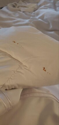 Blood stained duvet
