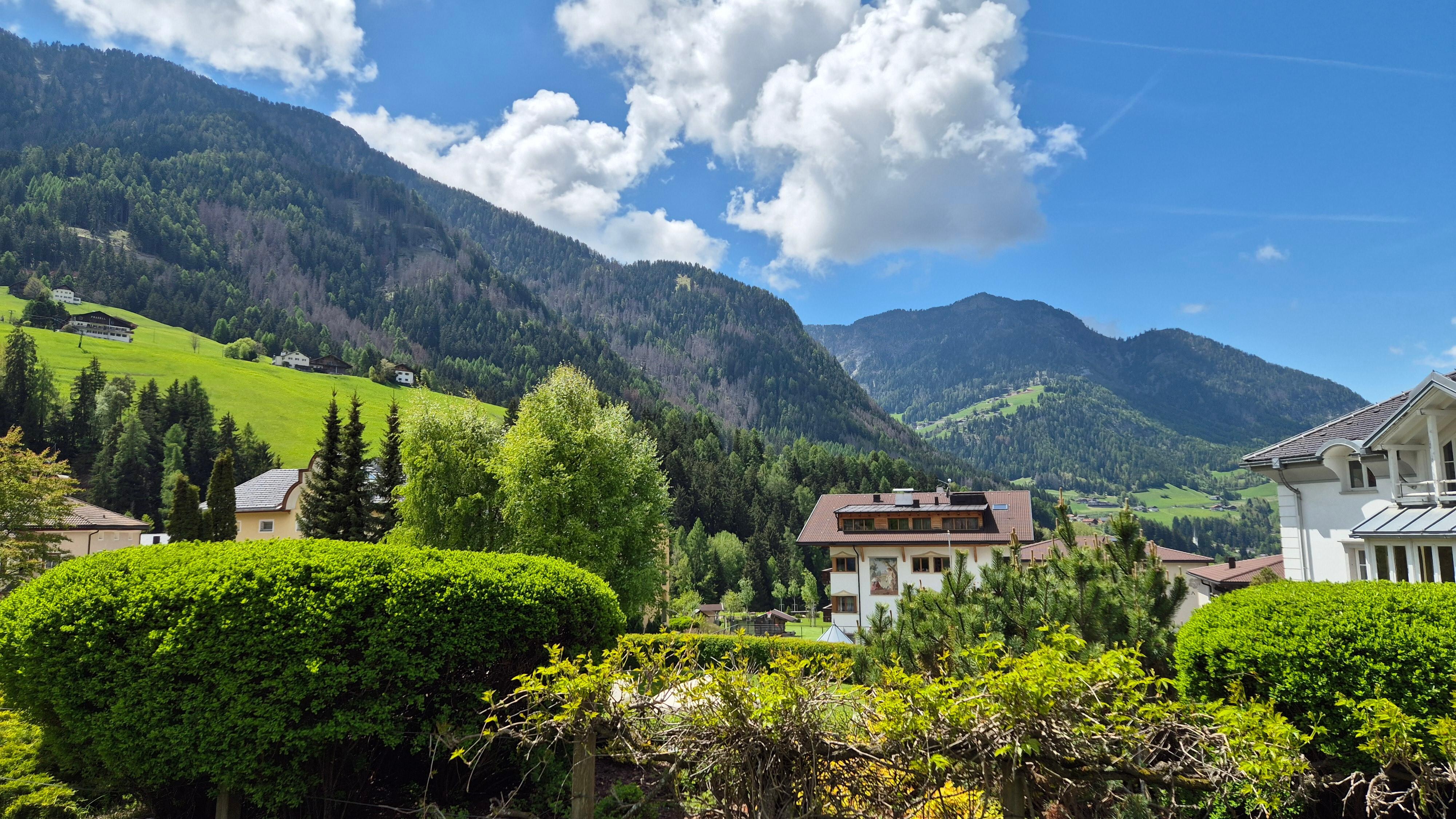 View from the garden