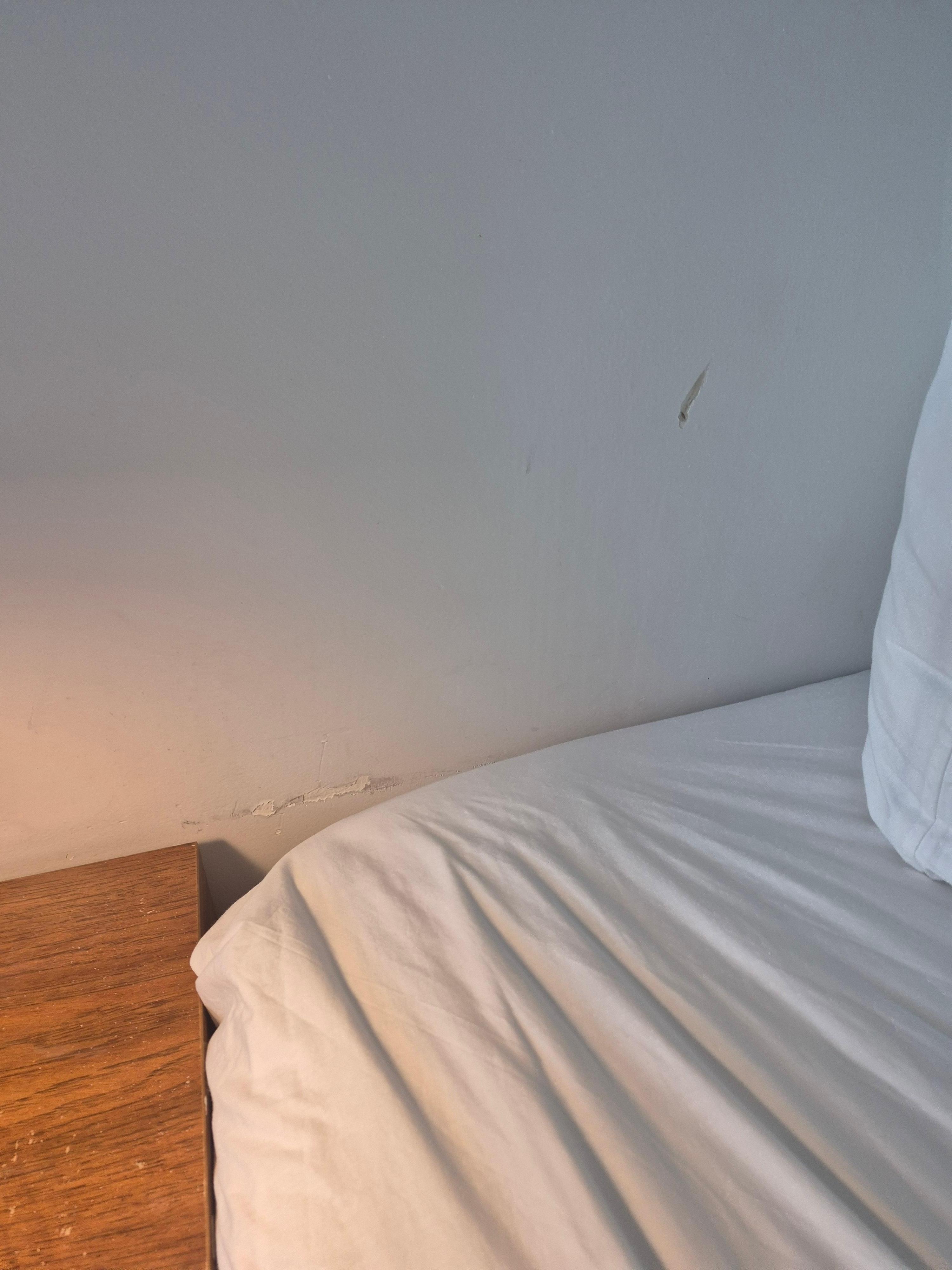 More cya photos.
Also, the mini-spilt was not functioning.  Glad it was only mid 70's outside. Still had to open patio door during the night for fresh air.  Front window had no screen. 