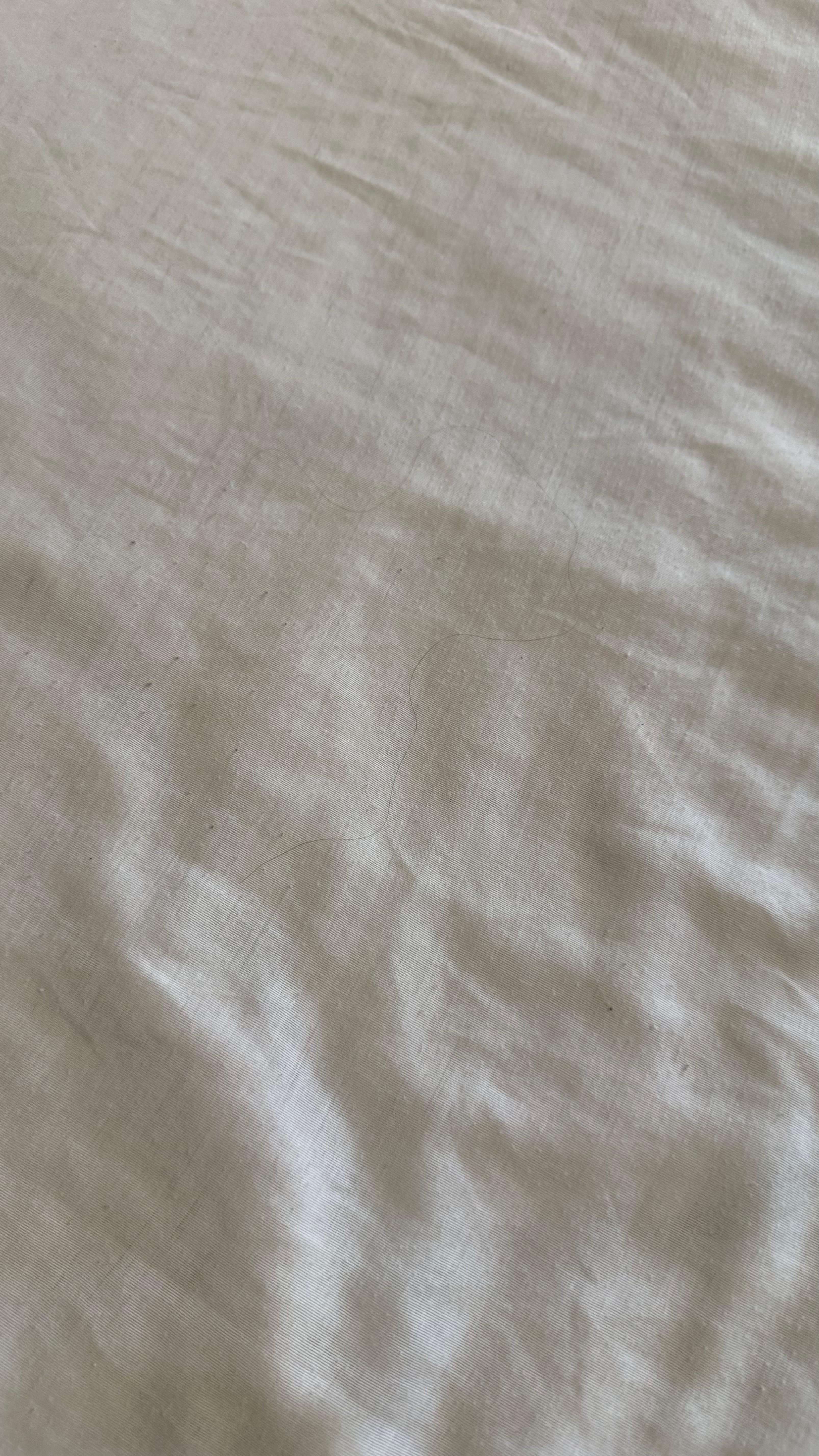 Hair that wasn’t ours 