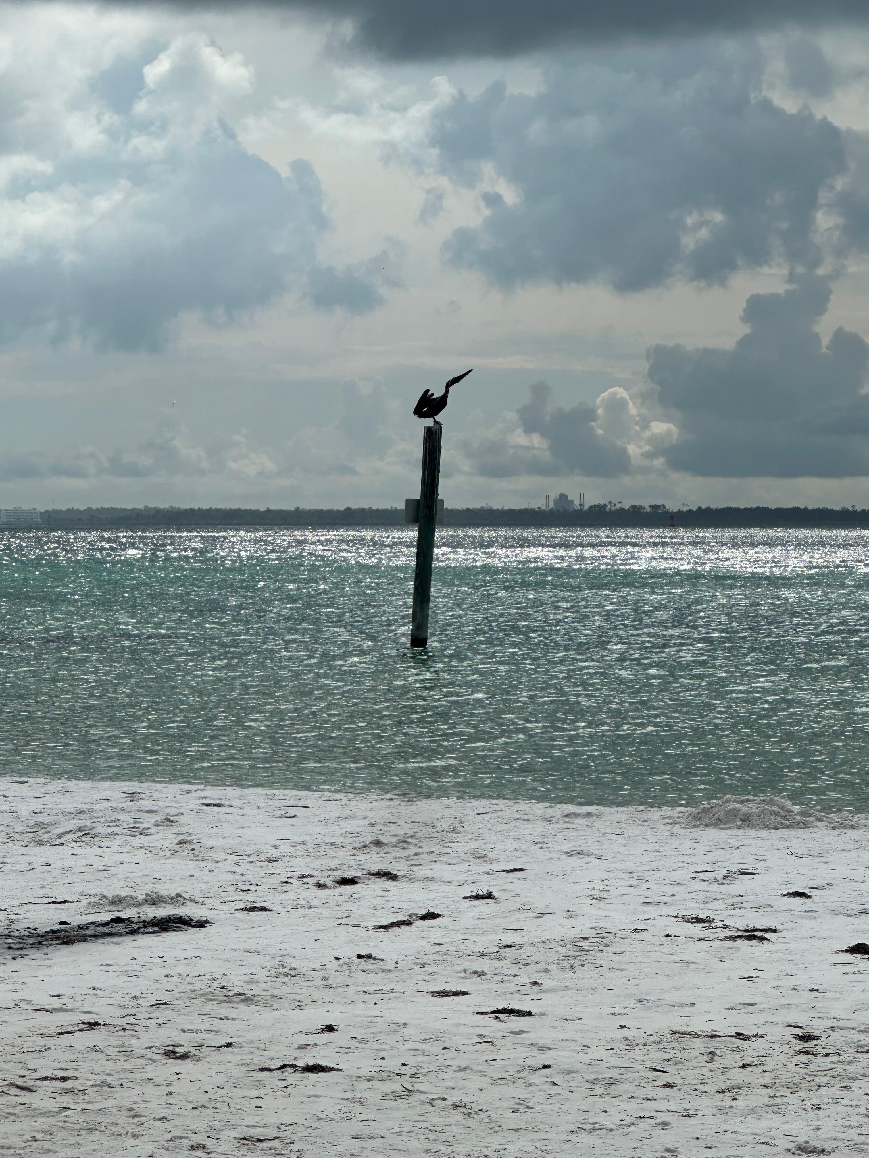 Early morning views from St Andrew’s.