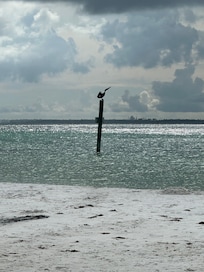 Early morning views from St Andrew’s.