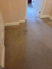Stained carpets