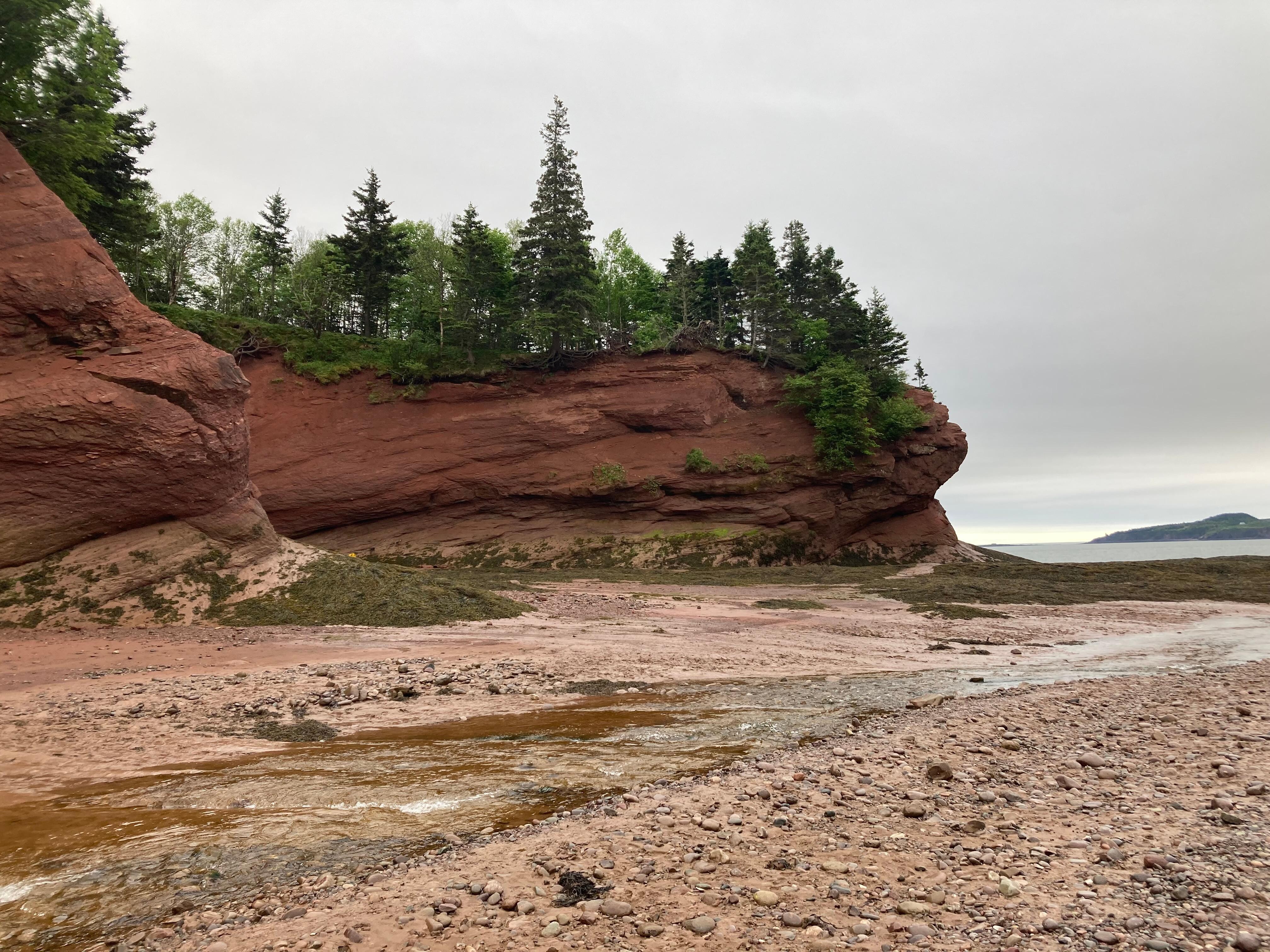 Sea Caves just a quick walk away