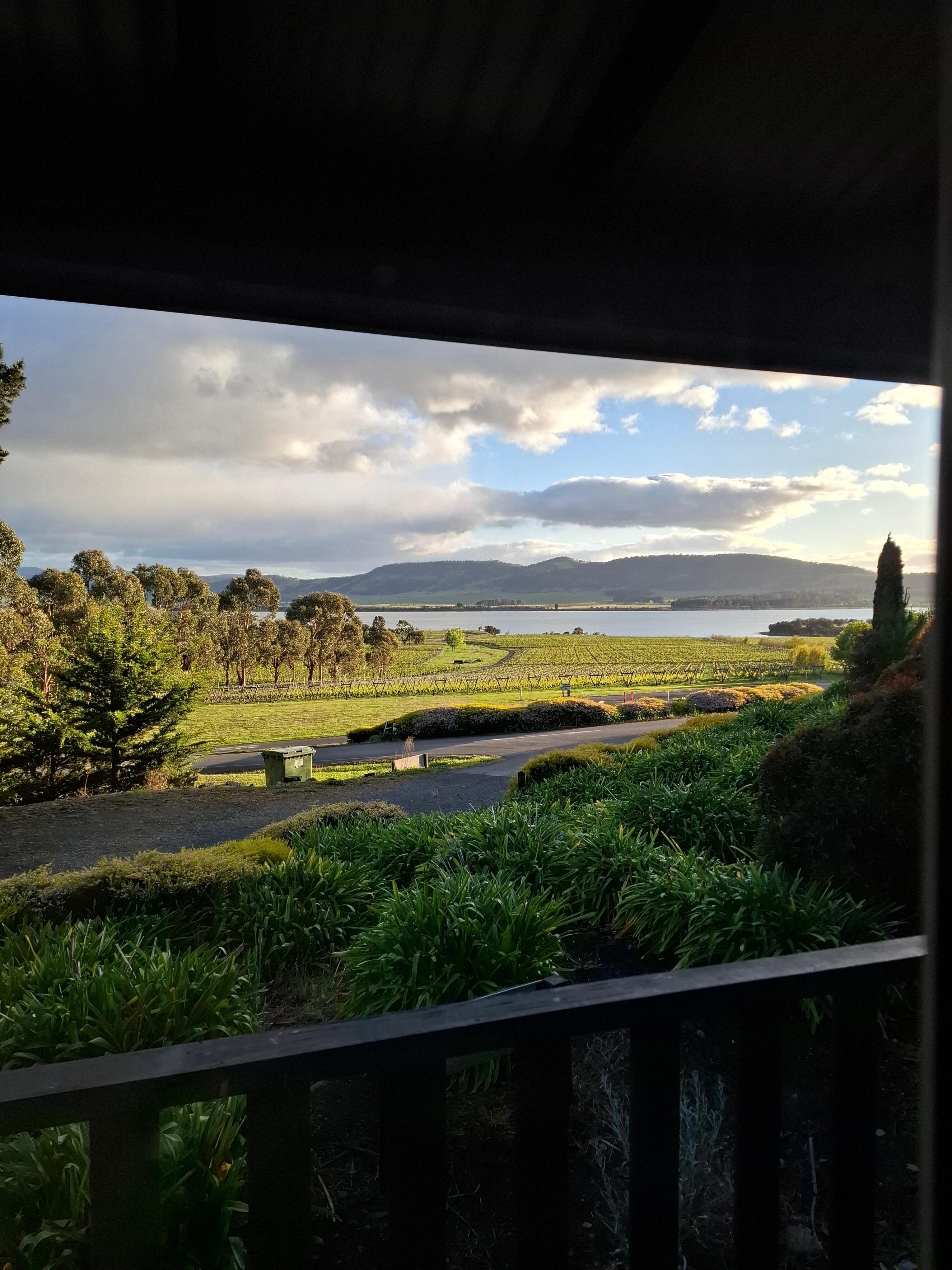 View from the cottages