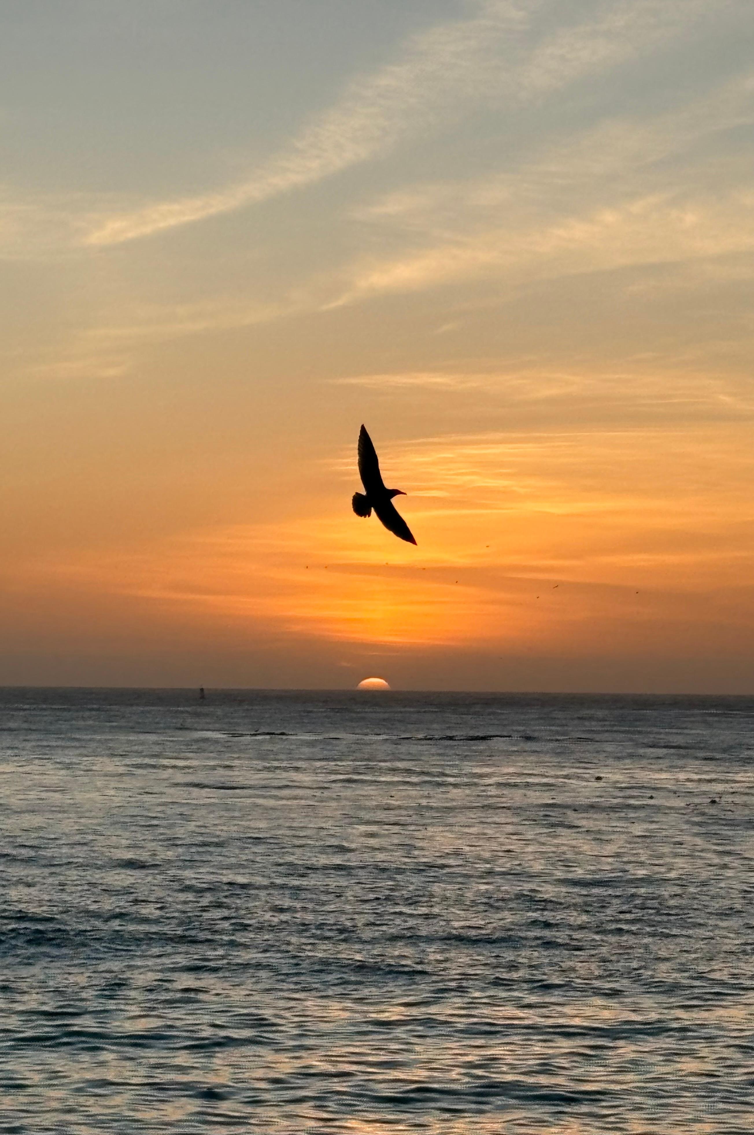 View from beach near pier 