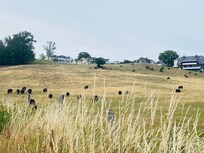 1 Weg zum Strand, hinterm Haus sollte man unbedingt gemacht haben đ