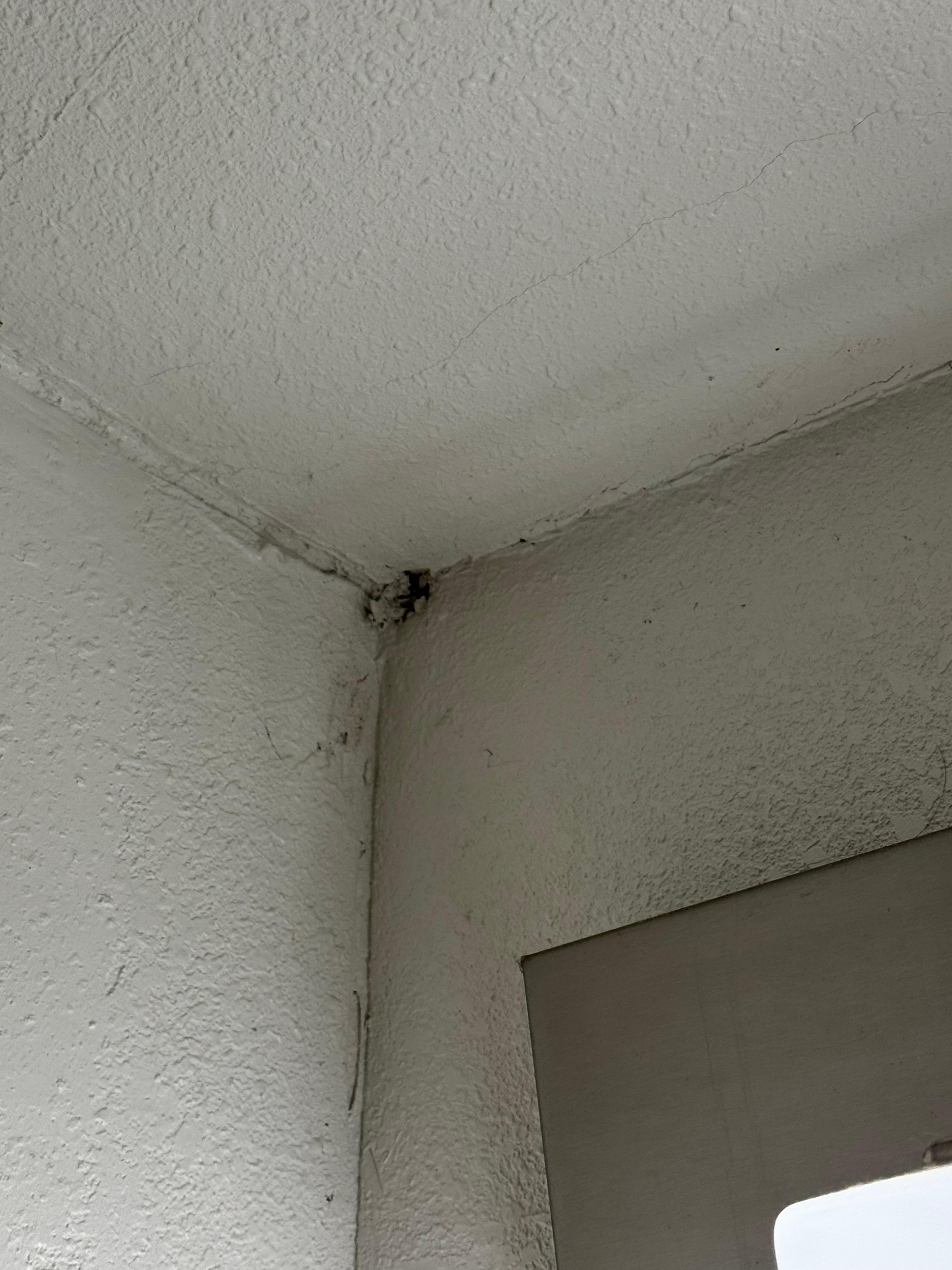 Holes in the walls along with some mold by it