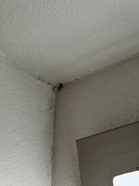 Holes in the walls along with some mold by it