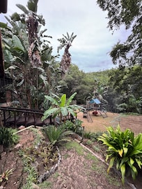 Backyard and playground