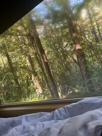 Waking up to sunshine