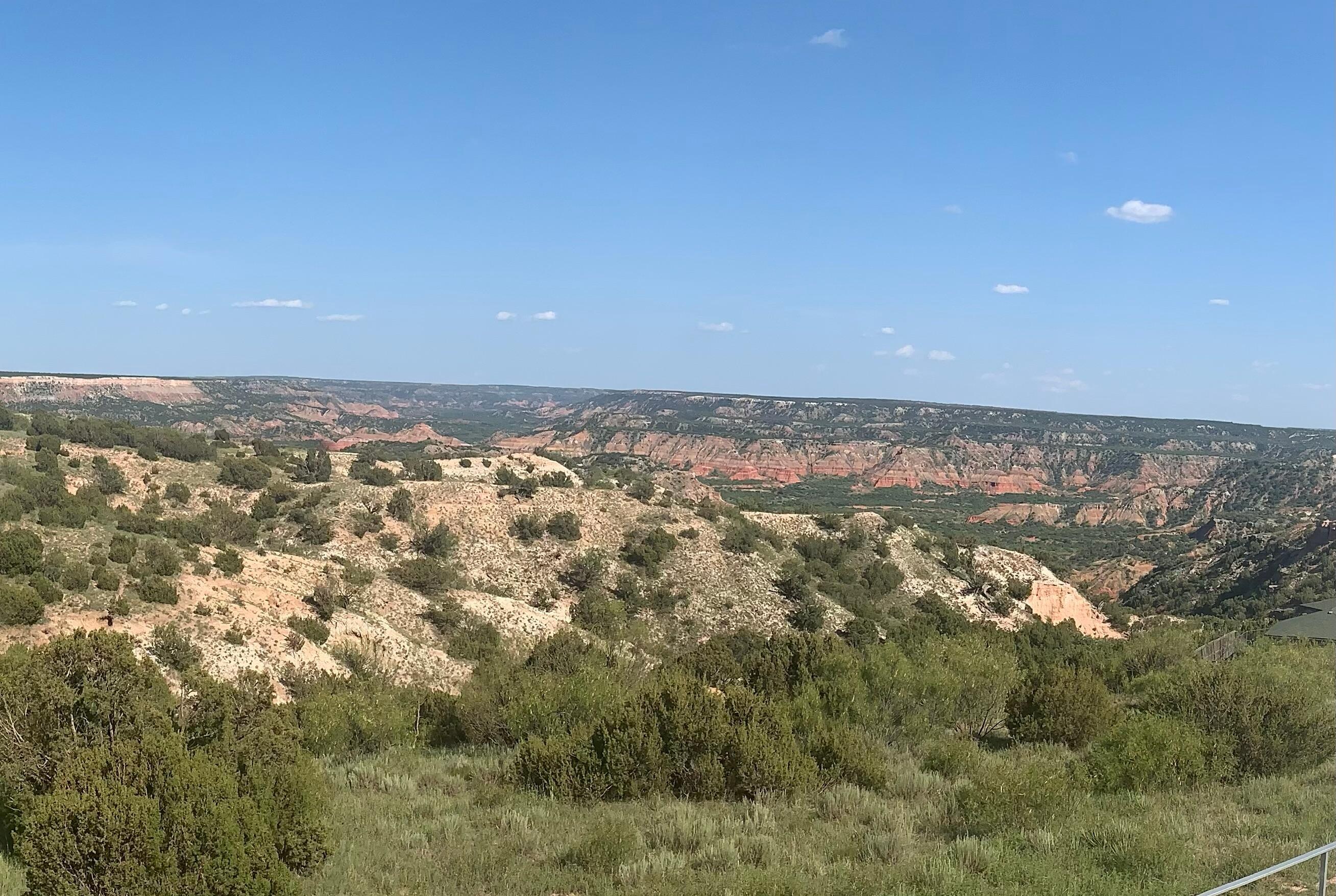 View off back porch