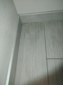 Dried pee in closet from some sort of animal