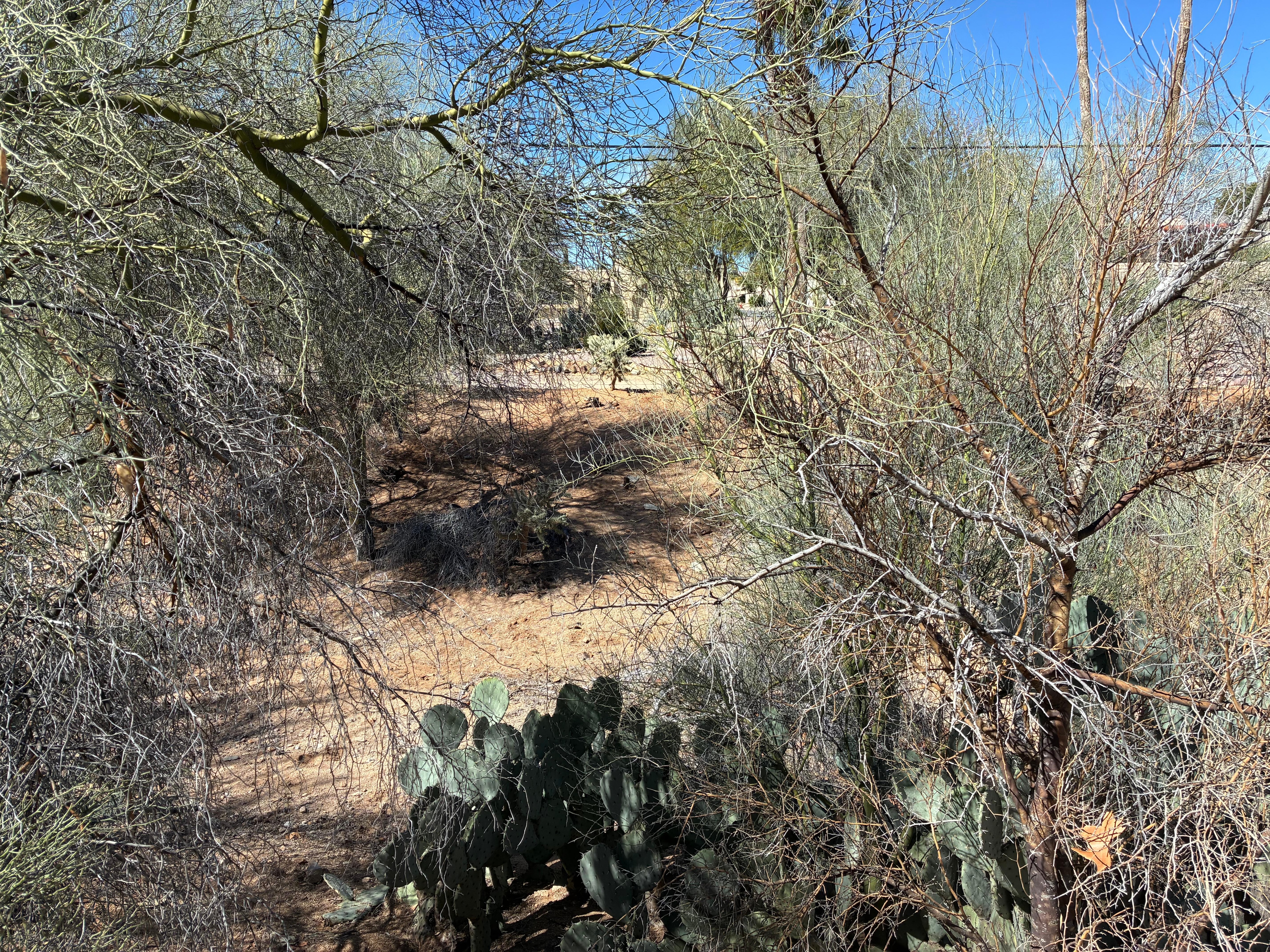 Walking the EE trail