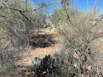 Walking the EE trail