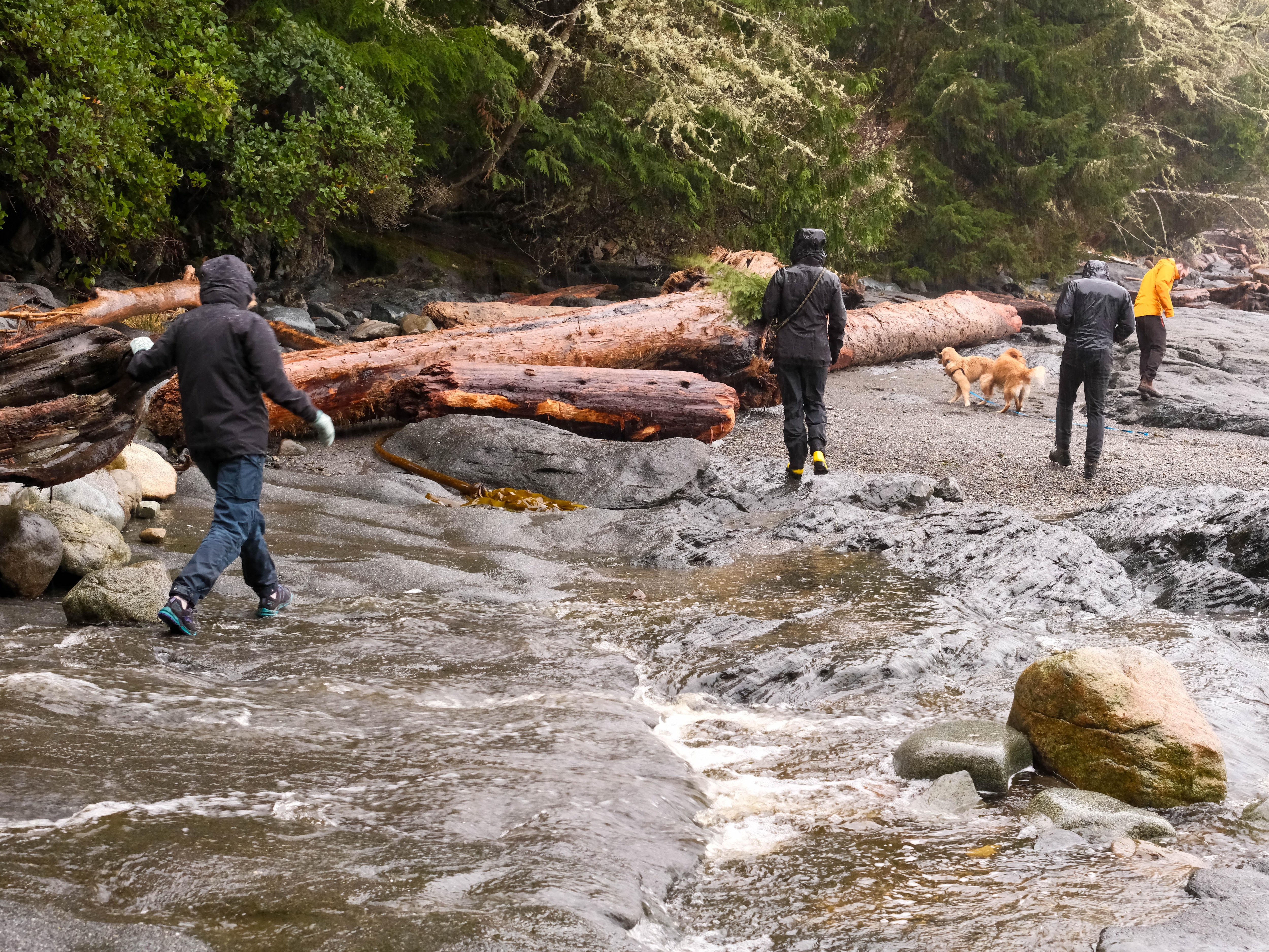 Hike at Botanical Beach