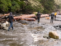 Hike at Botanical Beach