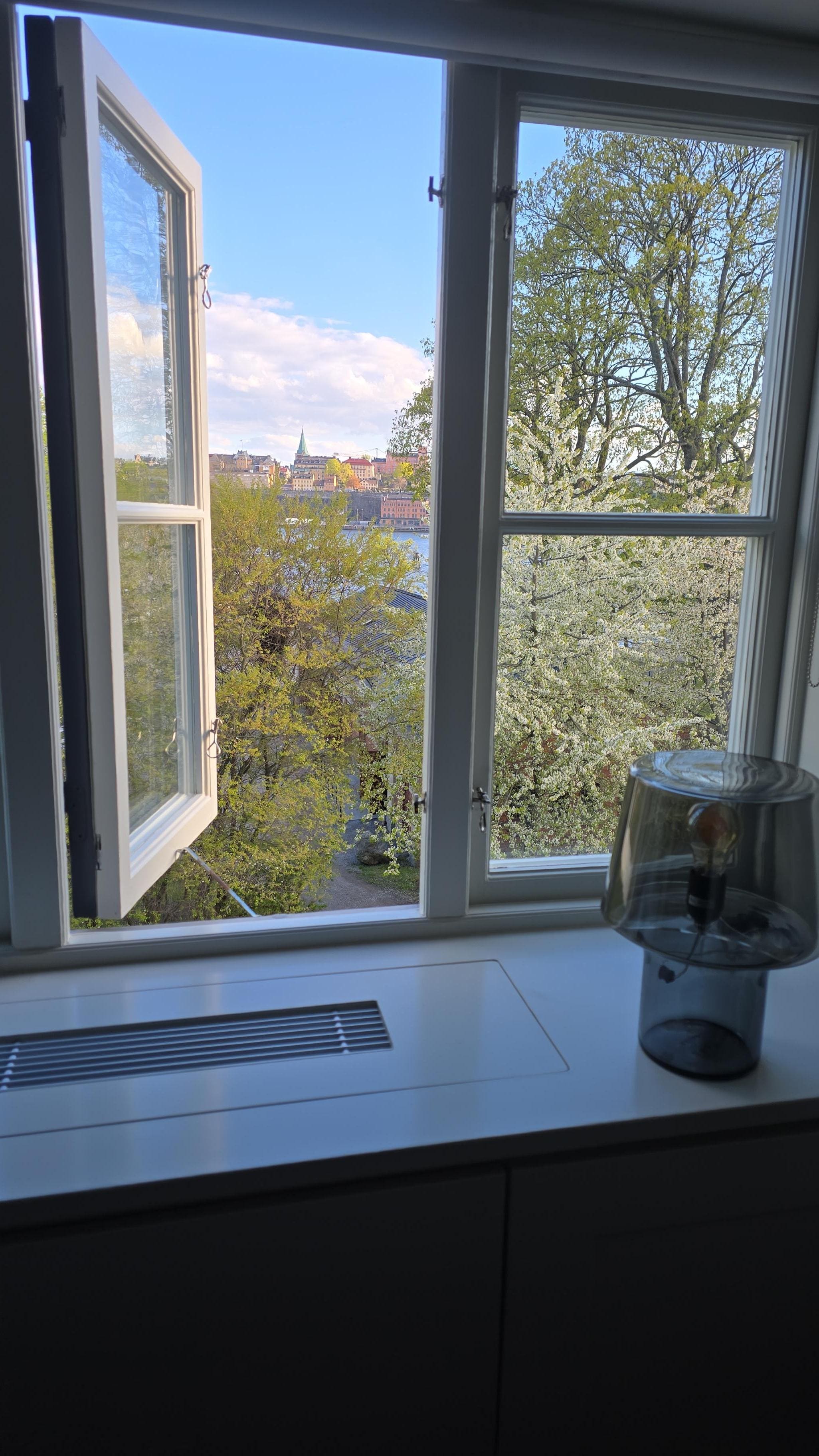 View from room window