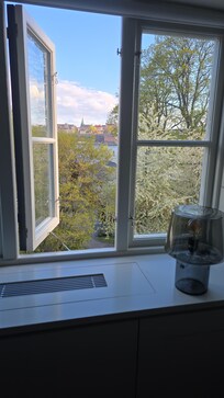 View from room window