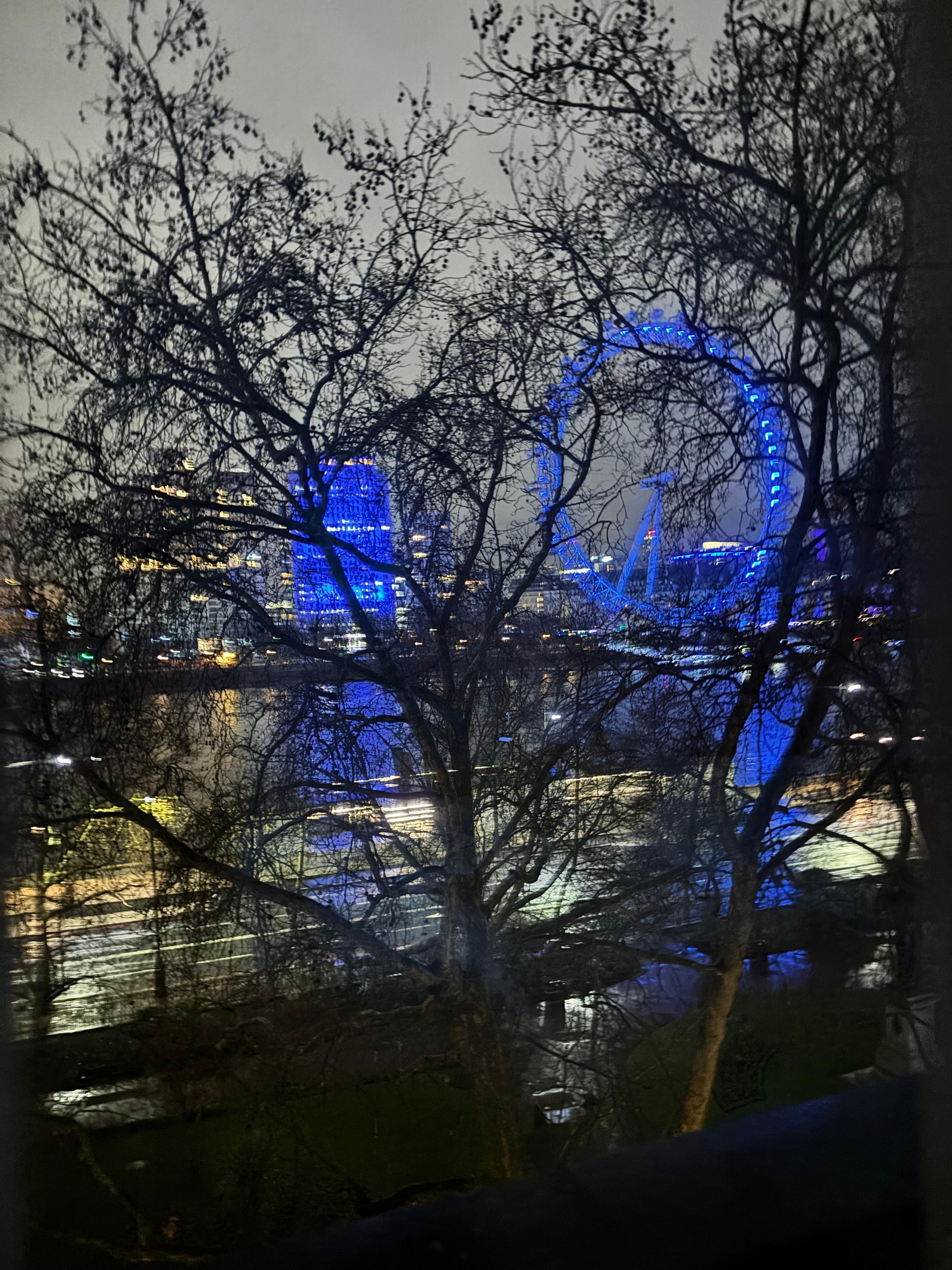 View of Thames and Eye from room