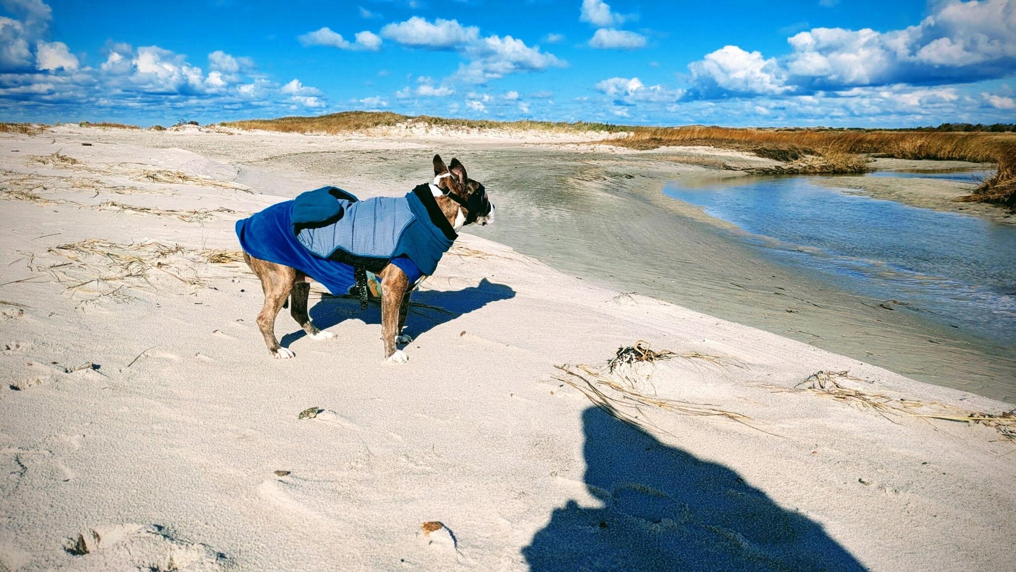 Monomoy Wildlife Natl Shore trail