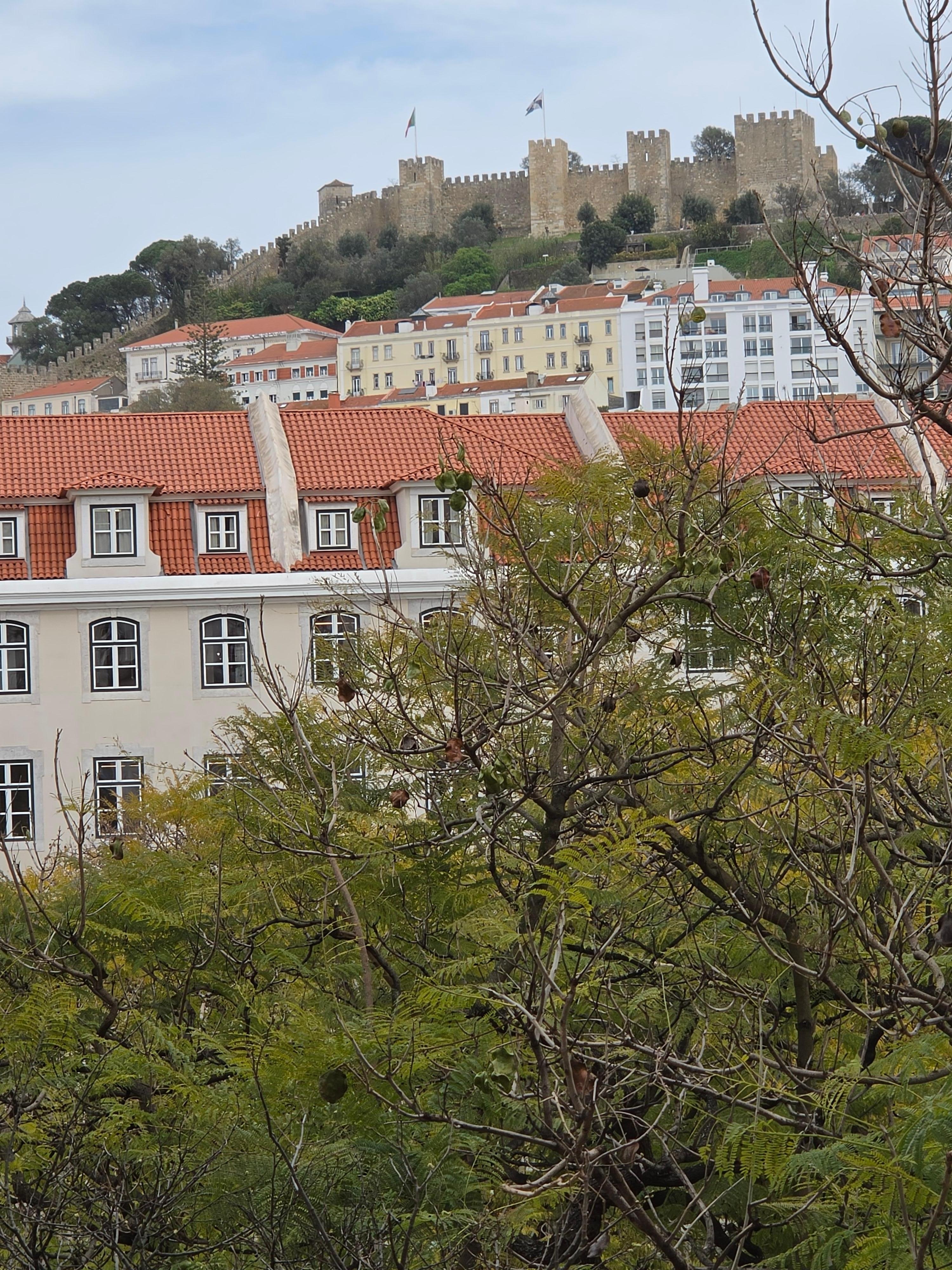 View of castle from room.