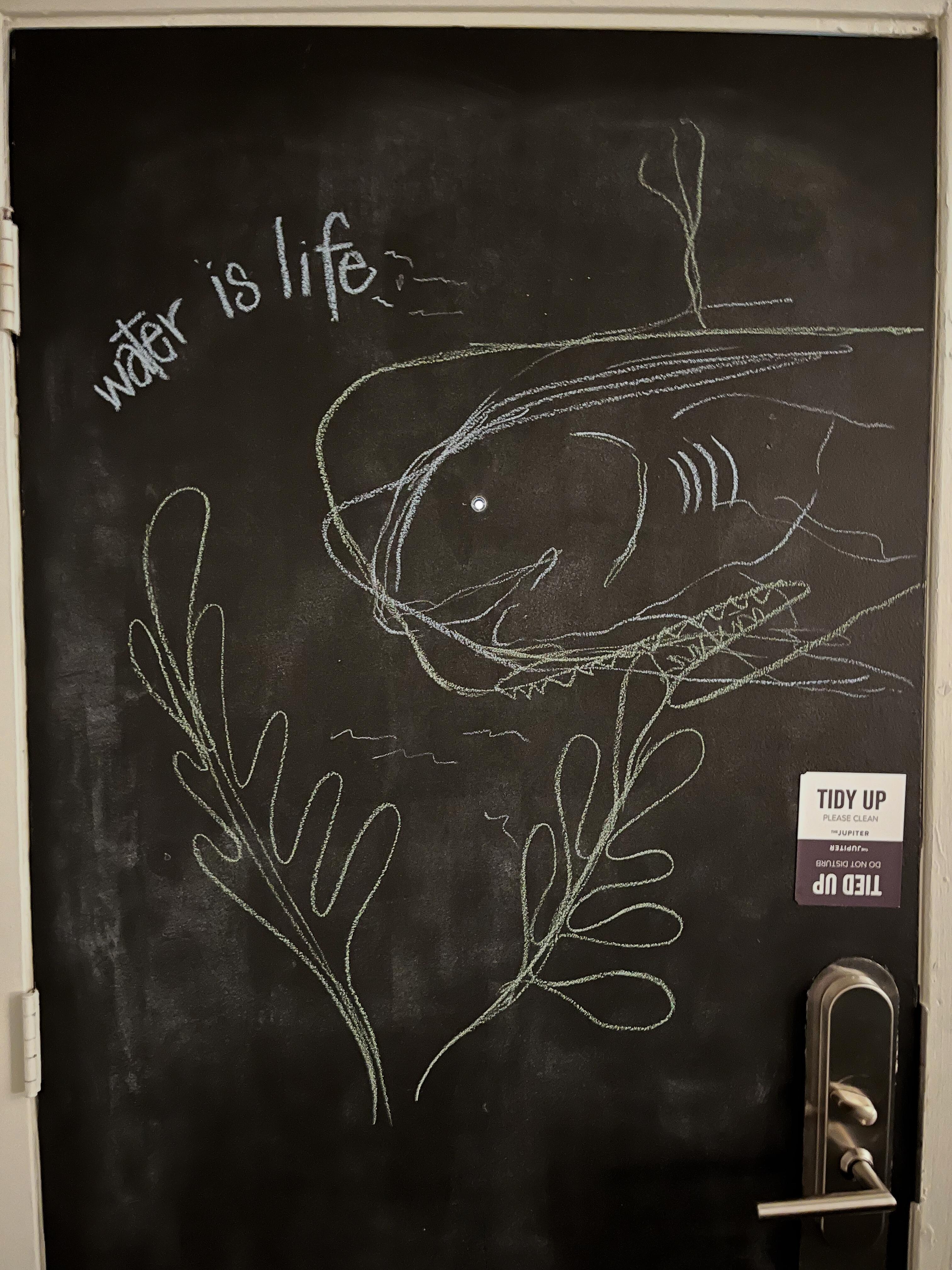 chalkboard door