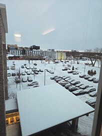 Lots of parking. They do charge for parking